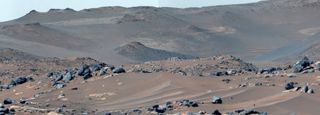 a reddish brown landscape of sand and rocks