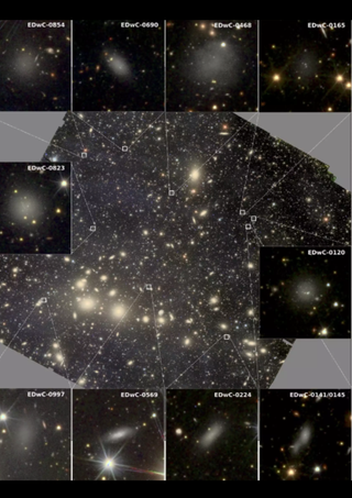 Zoomed images of the Perseus cluster seen by Euclid show dwarf galaxies