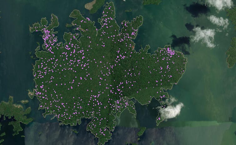 A green earth satellite map with purple dots everywhere.