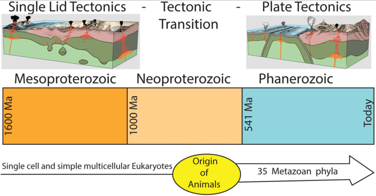 Did multicellular life on Earth depend on plate tectonics?