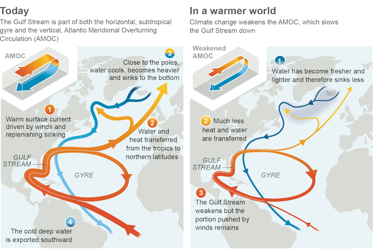 Two illustrations show what the AMOC looks like today and its expected weaker state in the future.