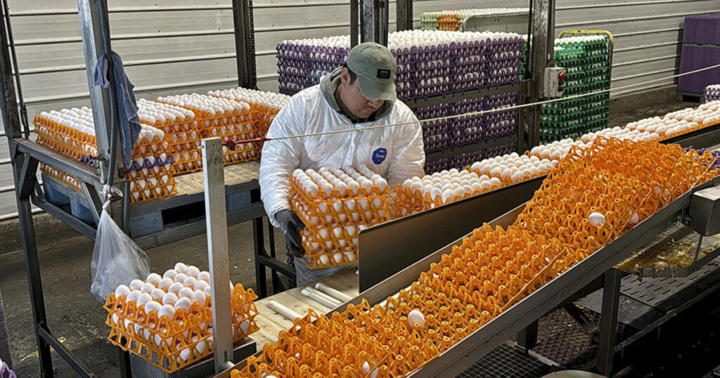 The bird flu vaccine is made from eggs.  This worries scientists.