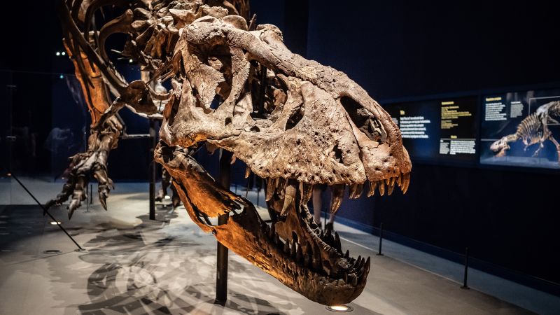 The evolutionary twist that could have helped dinosaurs rule the Earth |  CNN