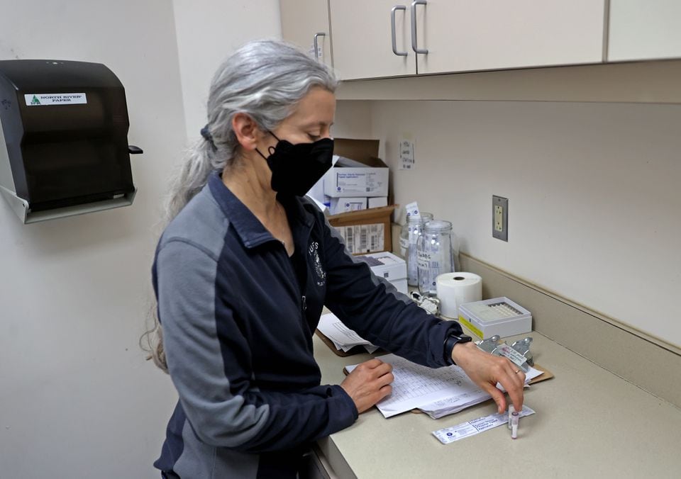 Dr. Maureen Murray, director of the Tufts Wildlife Clinic, prepares to perform a swab test at the Tufts Wildlife Clinic at the Cummings School of Veterinary Medicine in North Grafton.