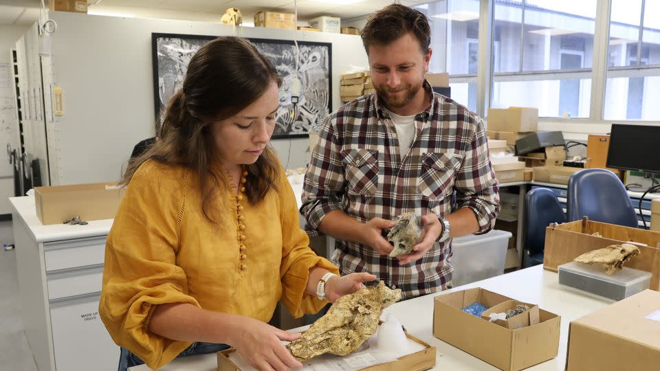 Two of the study's co-authors, Phoebe McInerney and Jacob Blokland, pose with a Genyornis newtoni skull.  - Courtesy of Flinders University