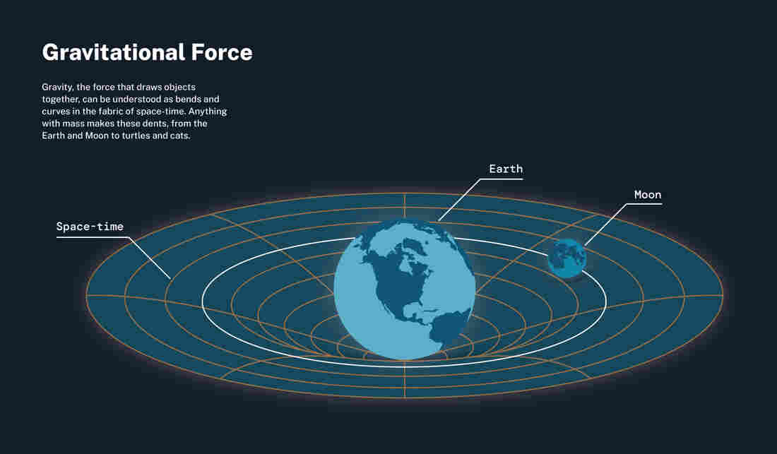 This illustration explains gravitational force, also known as 