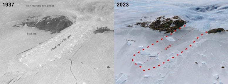 Comparison of the Hönnörbrygga glaciers