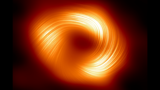 A donut-shaped structure streaked with orange and white in front of a black background.