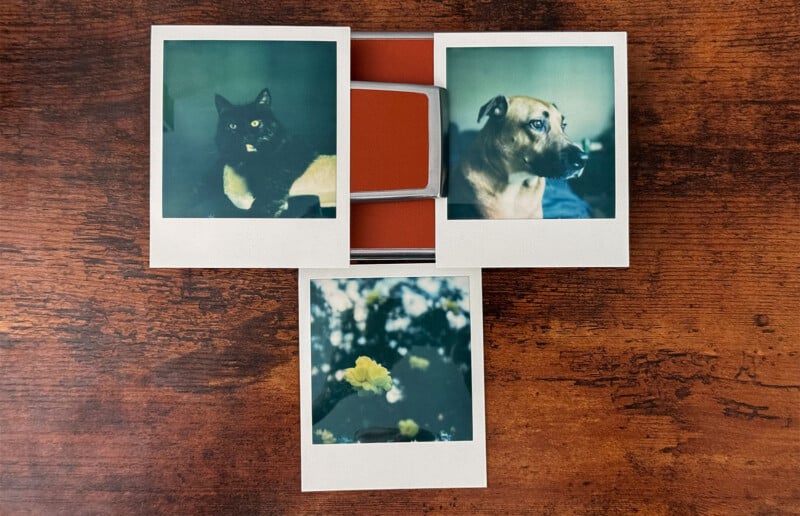 Three Polaroid photos lie on a wooden surface.  One depicts a black cat, another a brown dog looking to the side, and the third depicts yellow flowers among green leaves.  The photos are arranged in a T shape with an orange Polaroid camera partially visible underneath.