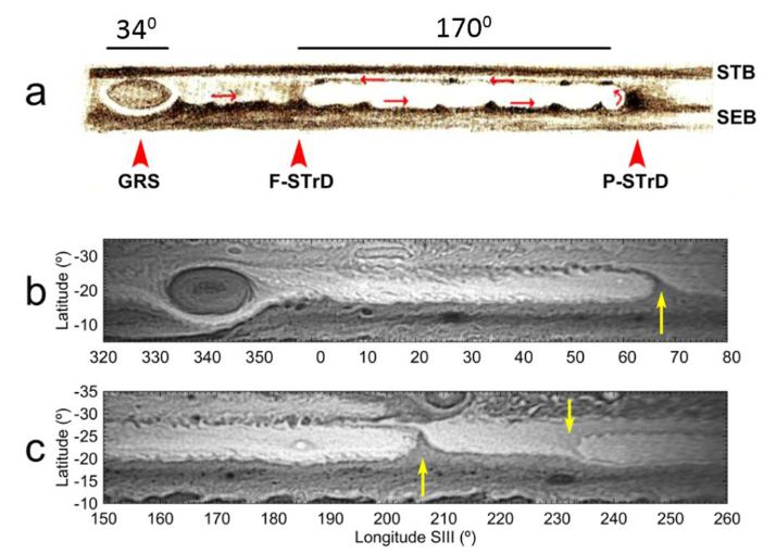 These images from the research show how the GRS was formed.  a is a drawing by TER Phillips in 1931-1932 of the STrD.  The red arrows indicate the direction of flow with the longitude scale indicated.  b and c are maps taken from images taken by the New Horizons spacecraft.  Yellow arrows mark position-velocity changes in the STrD.  The STrD trapped the winds and created a long cell that generated the Great Red Spot.  Image credit: Sánchez-Lavega et al.  2024.