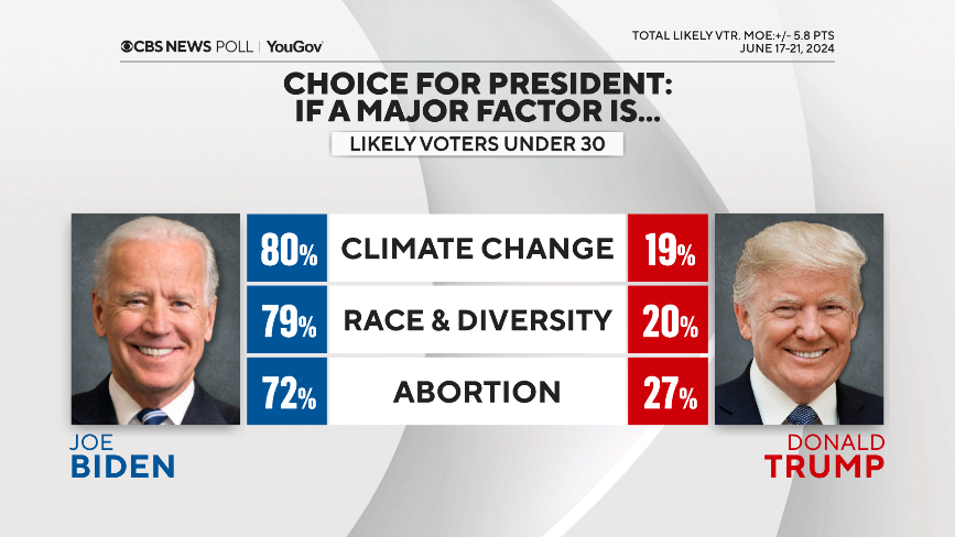 11-vote-choice-by-factors.png 