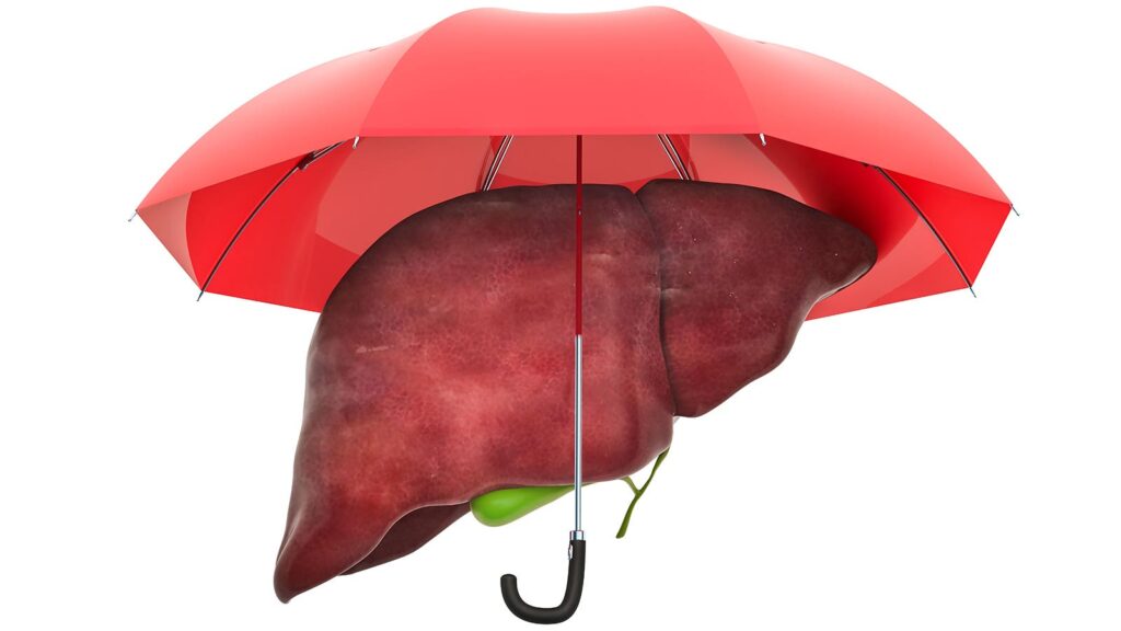 A computer rendering of a liver under a red umbrella.