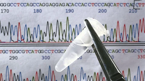 Getty Images The Human Genome Project has sequenced an entire human genome for the first time – but decades later, some portions of DNA remain enigmatic (Credit: Getty Images)