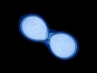 illustration of neutron star merger