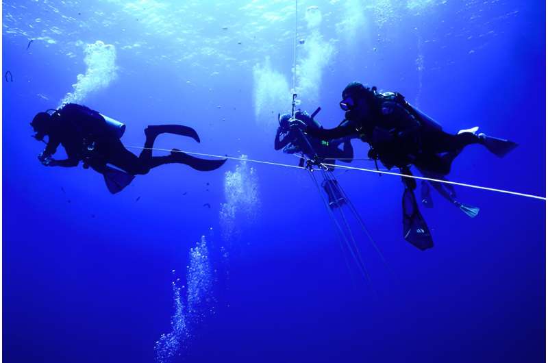 Under pressure: How jellyfish adapted to life on the ocean floor