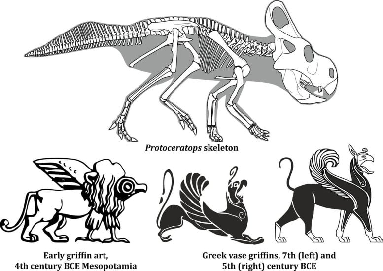 Protoceratops and ancient griffin