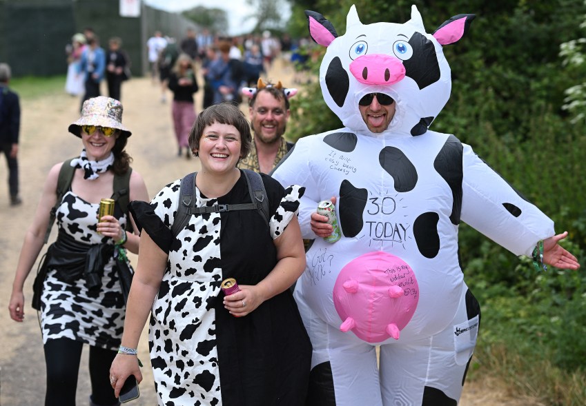 Group of festival goers dressed in cow themed outfits at the Glastonbury Festival, Worthy Farm, Pilton, Somerset, England, June 28, 2024.