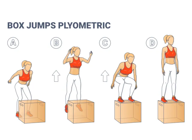 box jump plyometrics