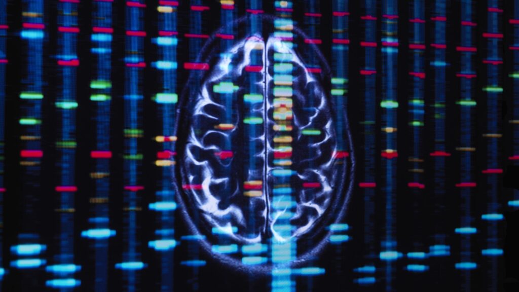 African ancestry genes may be linked to risk of certain brain disorders in Black Americans