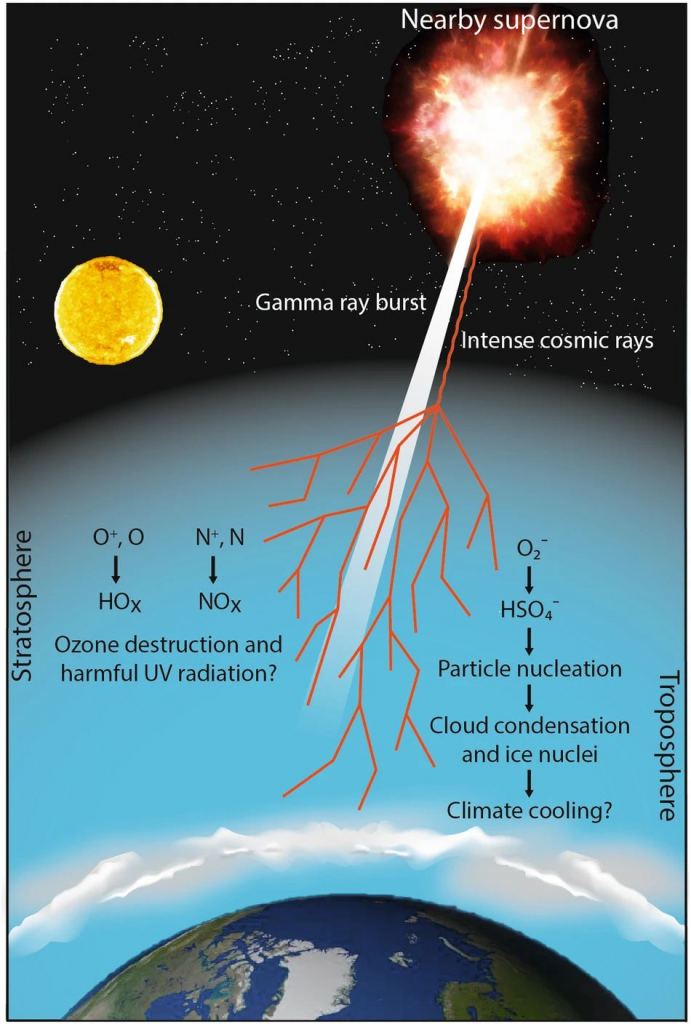 This graphic from the research article shows the potential atmospheric and climate impacts of a nearby supernova.  Gamma rays can deplete the ozone layer, allowing more UV rays to reach the Earth's surface.  Some UV rays are ionizing, meaning they can damage DNA.  Cosmic rays can also create more condensation nuclei, meaning more clouds and potential global cooling.  Image credit: Christoudias et al.  2024 