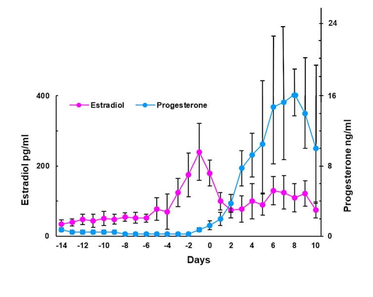 Line graph depicting increasing estrogen levels peaking on day 1 of the menstrual cycle before decreasing, and progestorone levels peaking on day 8 before decreasing