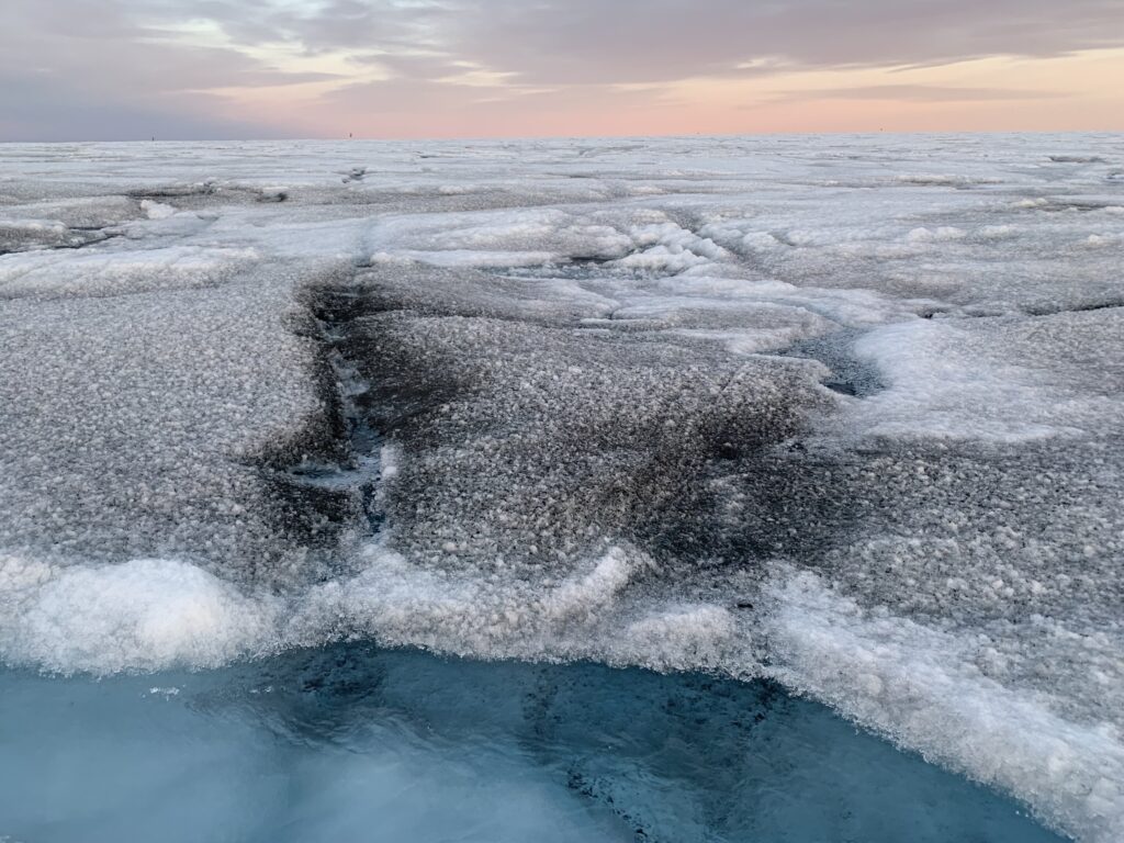 Giant viruses discovered on Greenland ice sheet could reduce ice melt