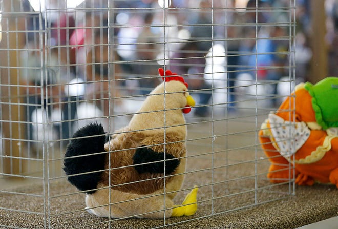 A stuffed animal sits in a cage before judging at the Junior Fair Poultry show at the Ashland County Fair in Ohio, Sunday, September 18, 2022. Due to the avian flu outbreak, junior exhibitors were not allowed to bring their live projects.