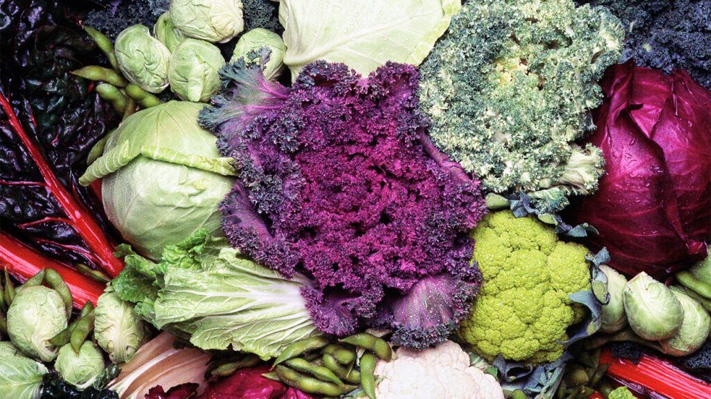 Colorful cruciferous vegetables like kale and collards grouped together