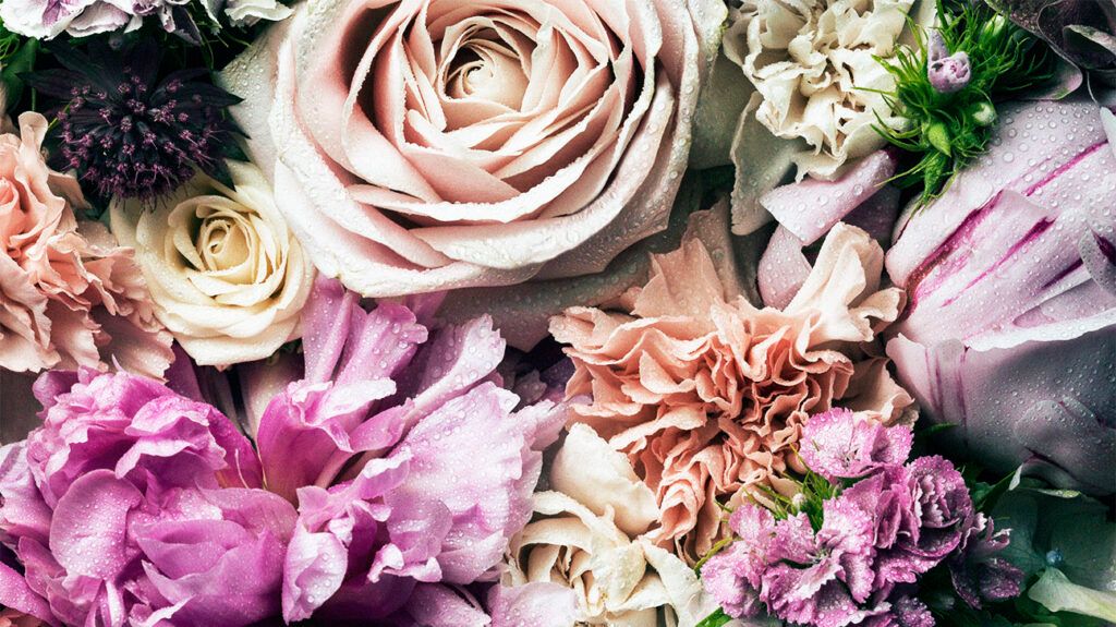 photo of pink roses and carnations