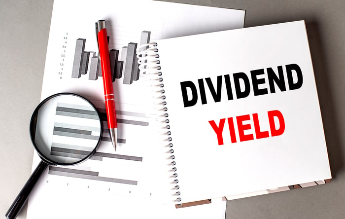 An analysis of dividend stocks in a notebook.