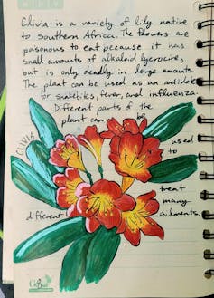 A stem of brightly colored orange and yellow flowers with green leaves sits on a notebook page with a handwritten description behind it.