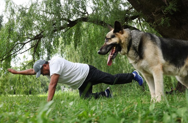 Homei, right, stands next to his owner, Jose Allende, who exercises under a willow tree in Chicago's Douglass Park, June 13, 2024. (Chris Sweda/Chicago Tribune)