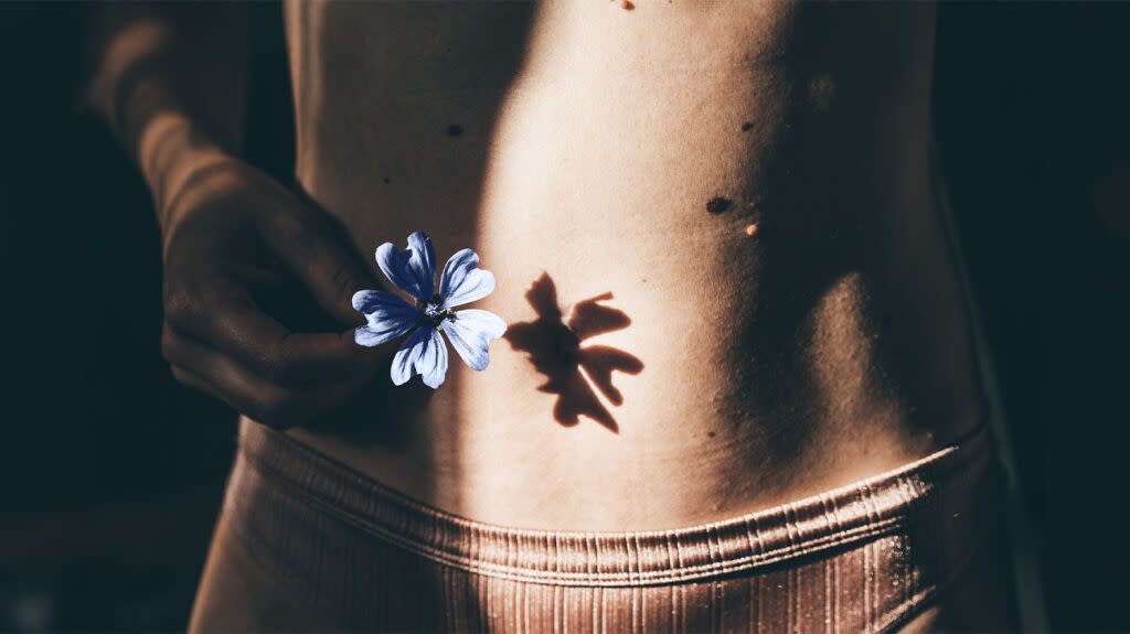 A person holds a flower in front of their abdominal area and casts a shadow on their skin.