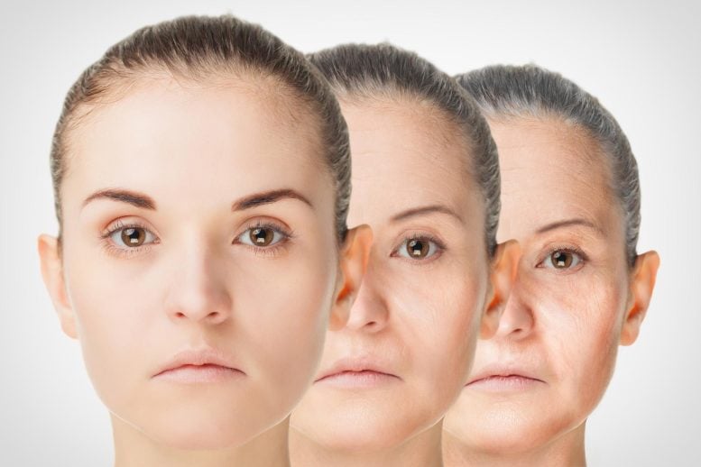 Anti-aging rejuvenation concept