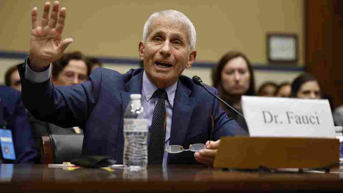 WASHINGTON, DC - JUNE 03: Dr. Anthony Fauci, former director of the National Institute of Allergy and Infectious Diseases, testifies before the House Oversight and Accountability Committee's Special Subcommittee on the Coronavirus Pandemic in the Rayburn House office building on June 3, 2024 in Washington DC.  Subcommittee holds hearing on findings of 15-month Republican investigation into former National Institute of Allergy and Infectious Diseases director Dr. Anthony Fauci and origins of pandemic of COVID-19.  (Photo by Chip Somodevilla/Getty Images)