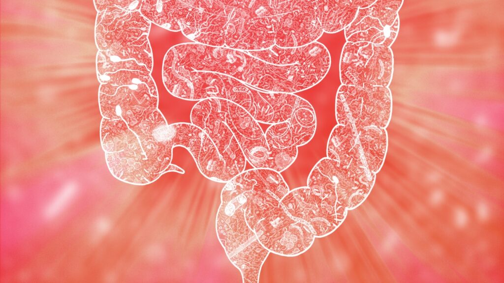 Your Gut Microbes May Influence How You Handle Stress