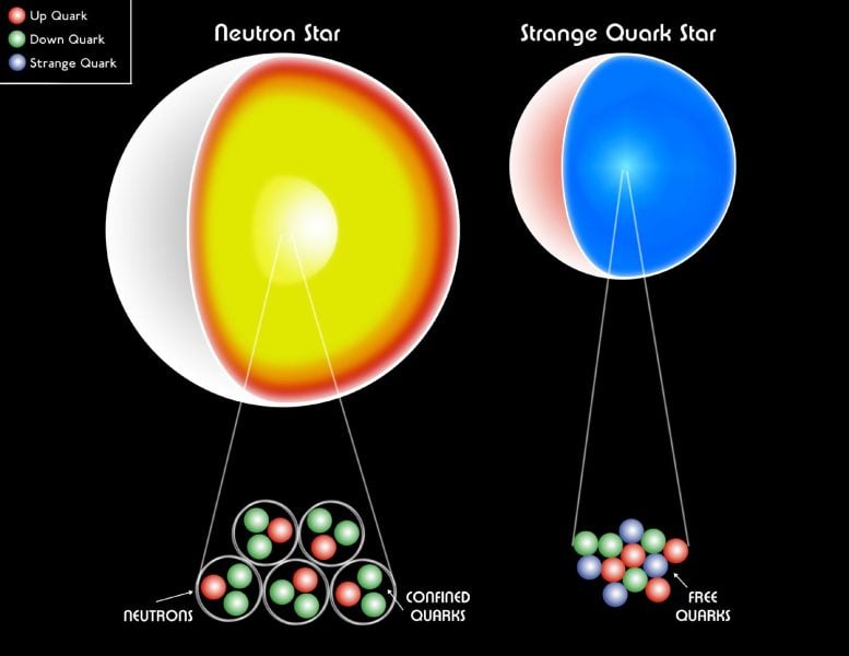 Interior of a neutron star and a quark star