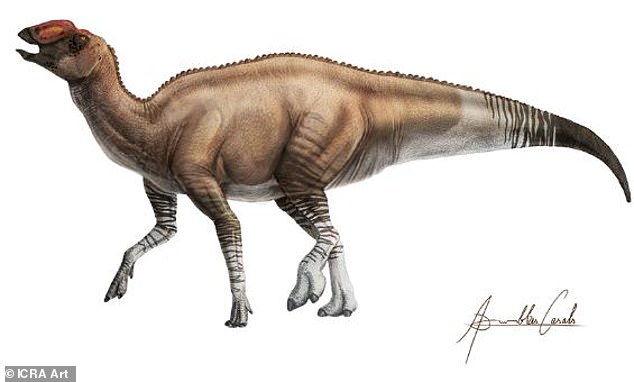 According to Hoffman, hadrosaurs are 