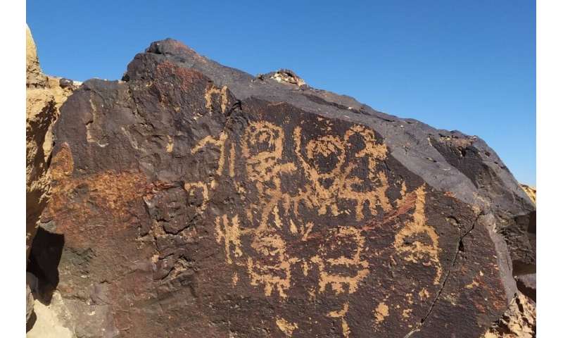 Desert-loving fungi and lichens pose deadly threat to 5,000-year-old rock art