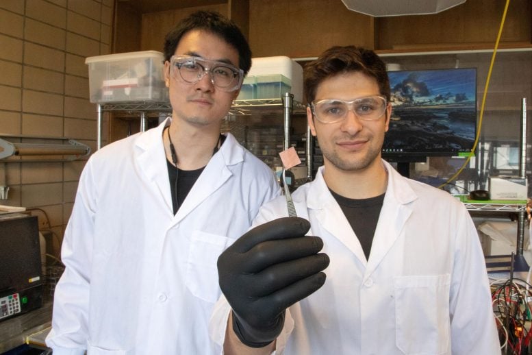 A new catalyst to convert captured CO2 gas into valuable products