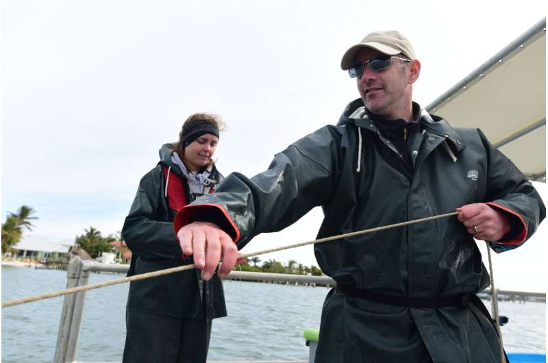 Restored oyster sanctuaries welcome more marine life