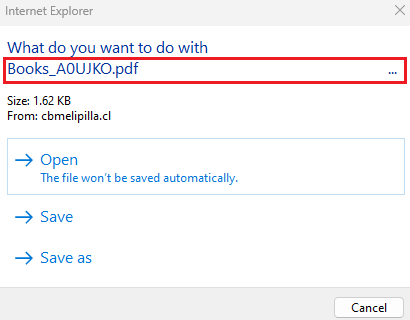 Figure 5: A closer look at the IE dialog box - showing only the PDF file name