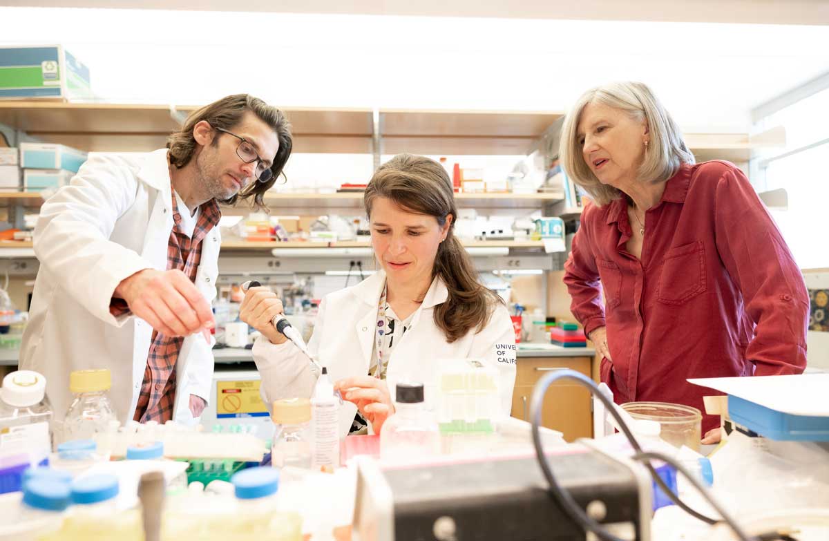 Researchers William Krause, Muriel Babey, and Holly Ingraham work in the Ingraham Lab.