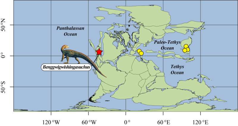 New species of extinct crocodile rewrites life on Triassic coast