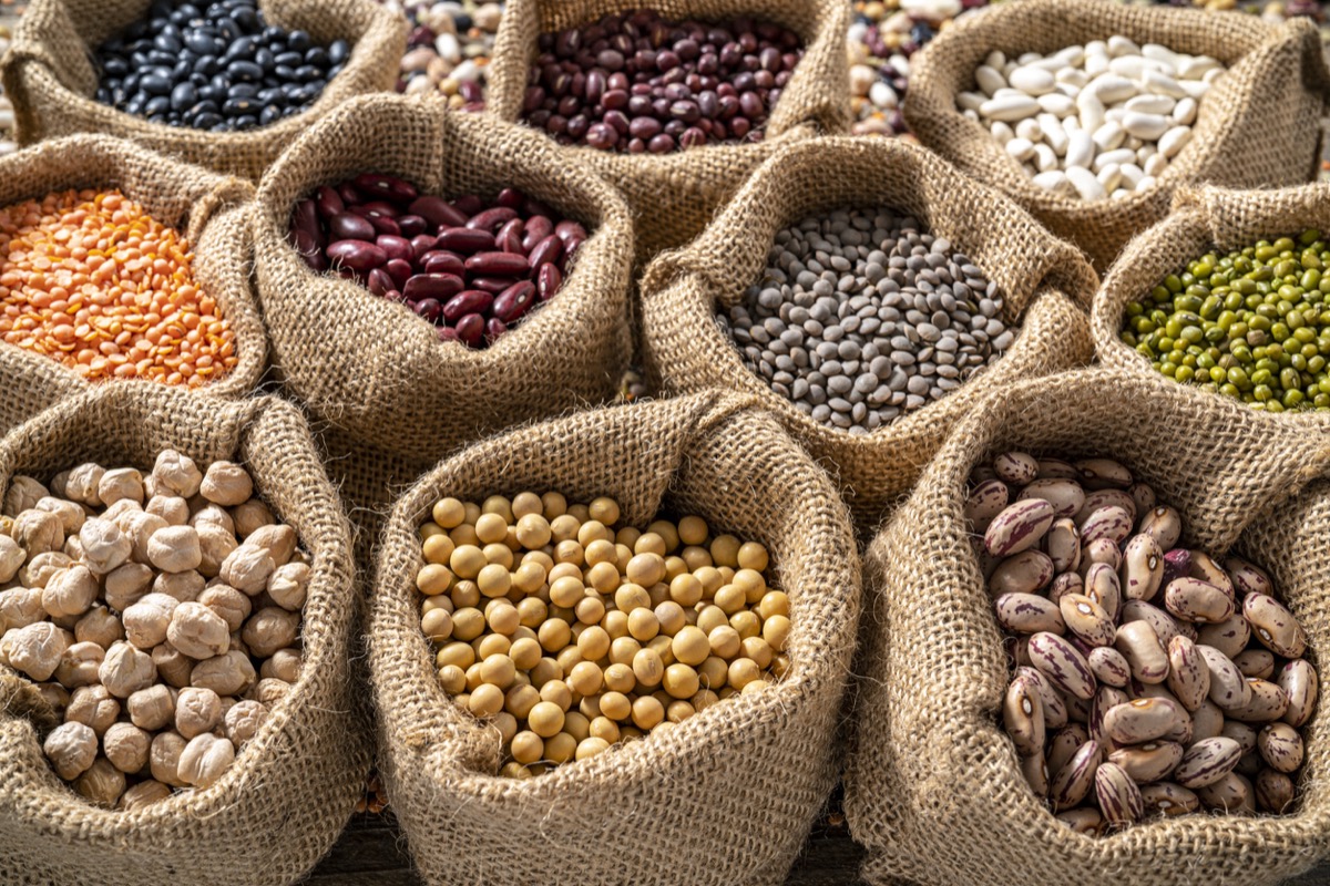 Assortment of legumes in burlap bags lined up in the background with chickpeas, lentils, soybeans and beans