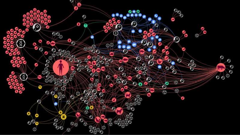 Study reveals complexity of zoonotic disease transmission chains