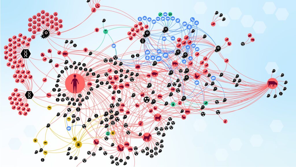 Study reveals complexity of zoonotic disease transmission chains