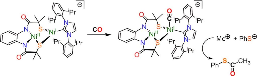 Scientists breed carbon-capturing enzyme