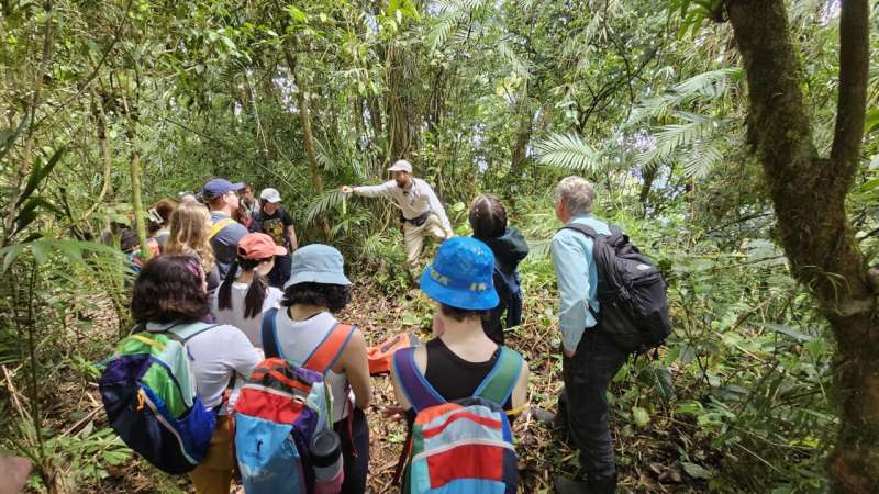 Ants and trees: an “evolutionary déjà vu” in the rainforest