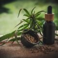 New research suggests CBD compounds may be better pain relievers with fewer negative side effects